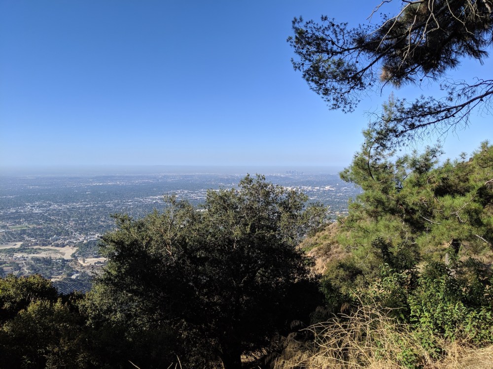 IMG_20190907_085705_resized