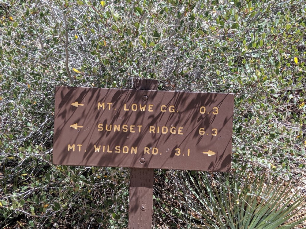 00000IMG_00000_BURST20190907121435361_COVER_resized