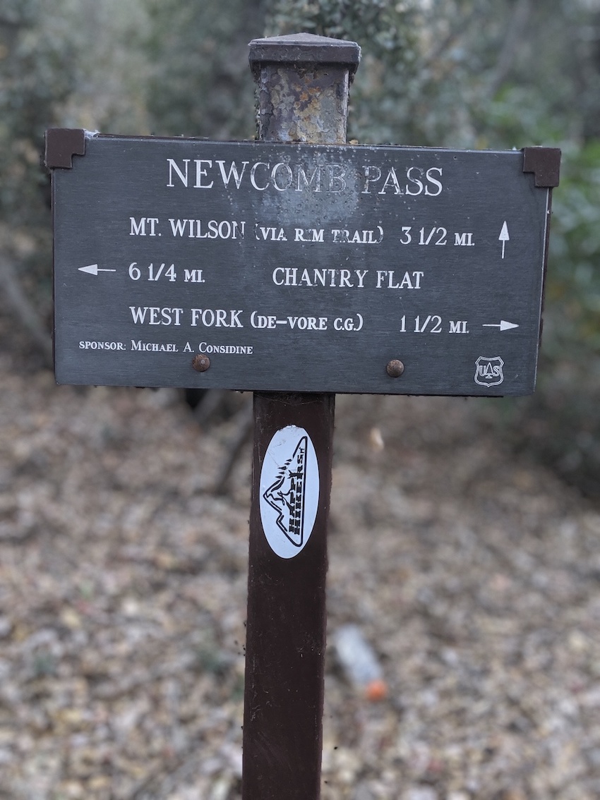 00100lPORTRAIT_00100_BURST20191109151946321_COVER_resized