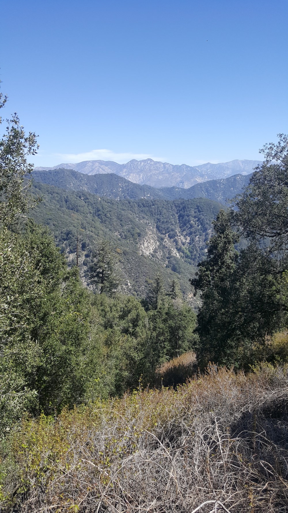 20170402_115720_resized