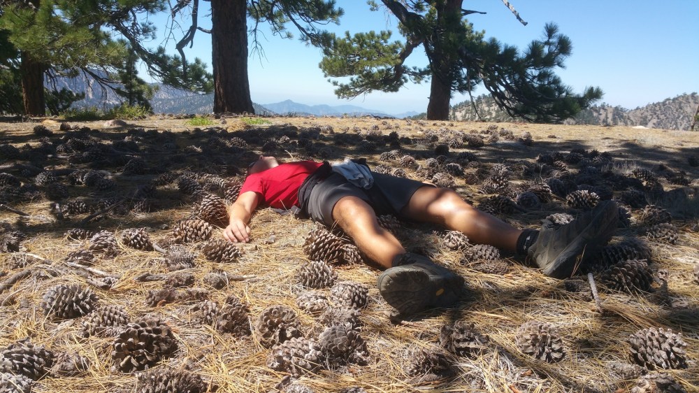 2019-08-11 12.02.32_resized