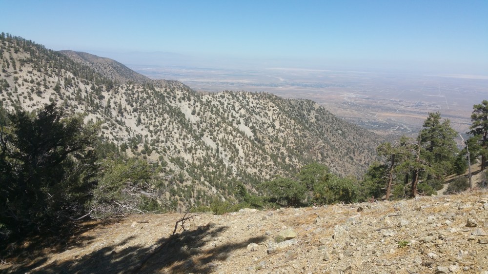 2019-08-11 12.15.01_resized