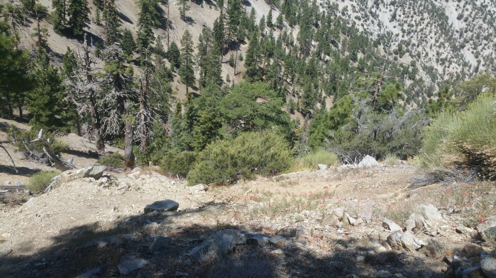 2019-08-11 12.15.59_resized