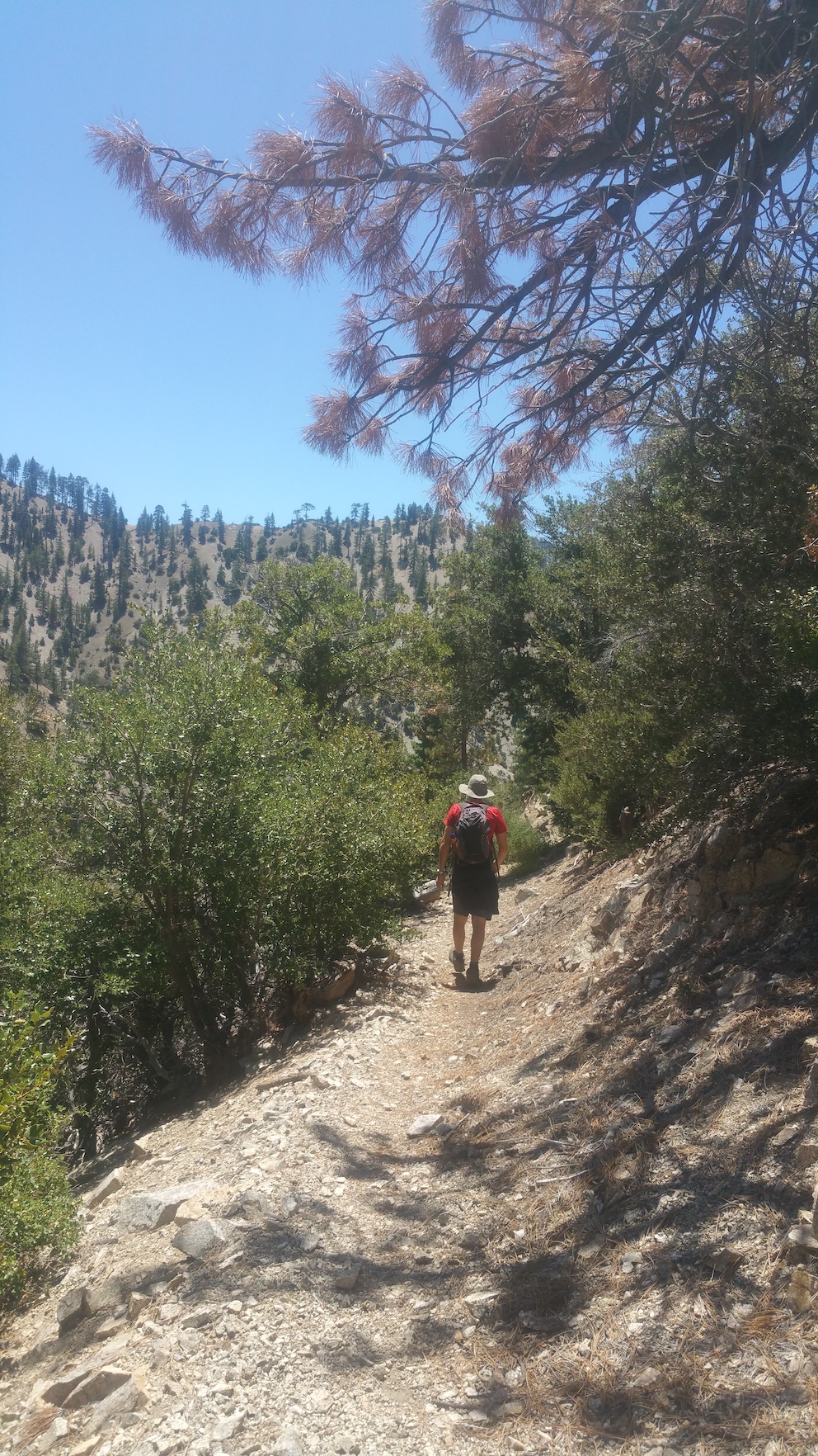 2019-08-11 12.45.00_resized