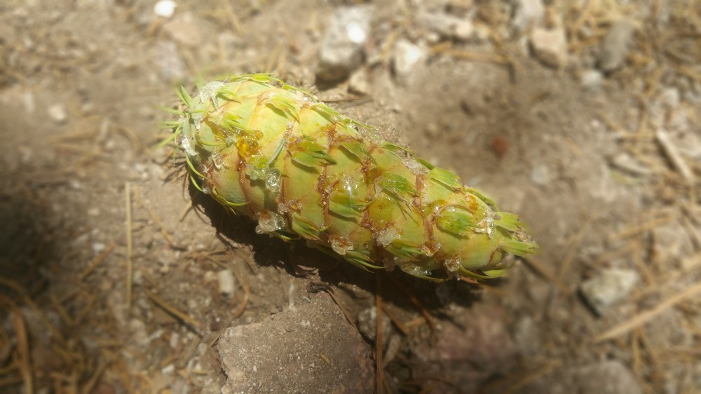 2019-08-11 13.31.15_resized