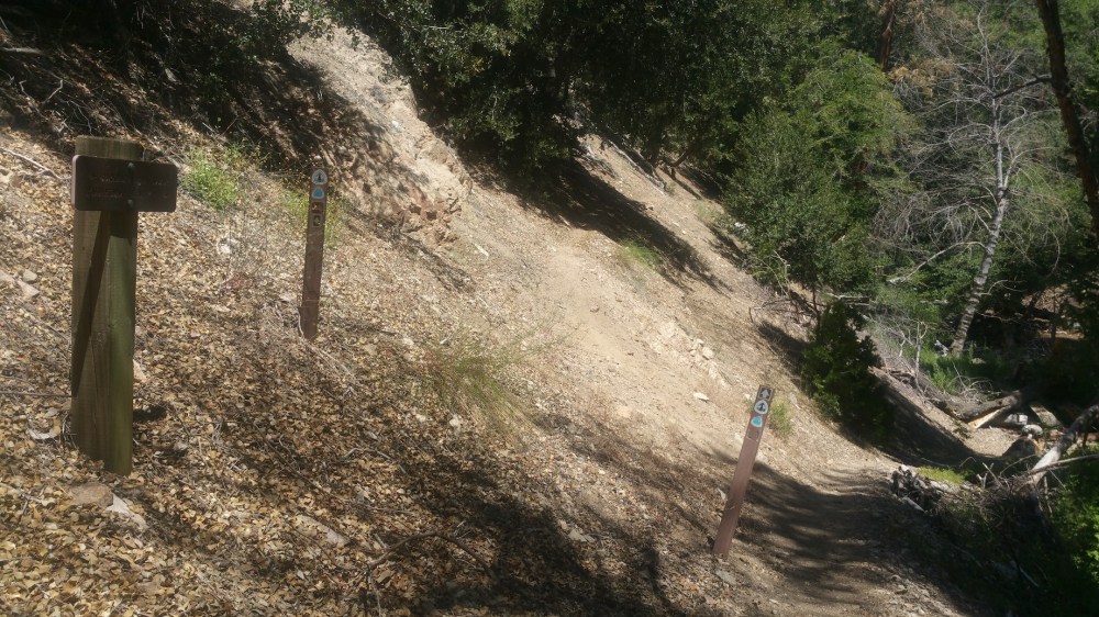 2019-08-11 13.45.26_resized