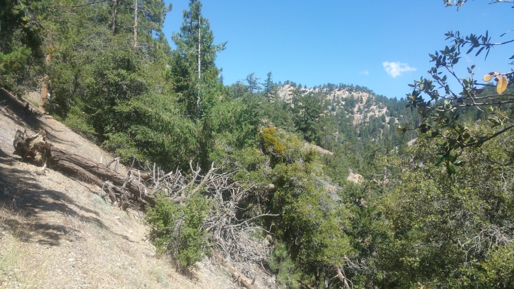 2019-08-11 14.38.47_resized