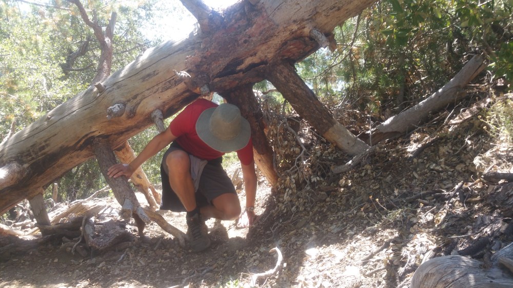 2019-08-11 14.42.39_resized