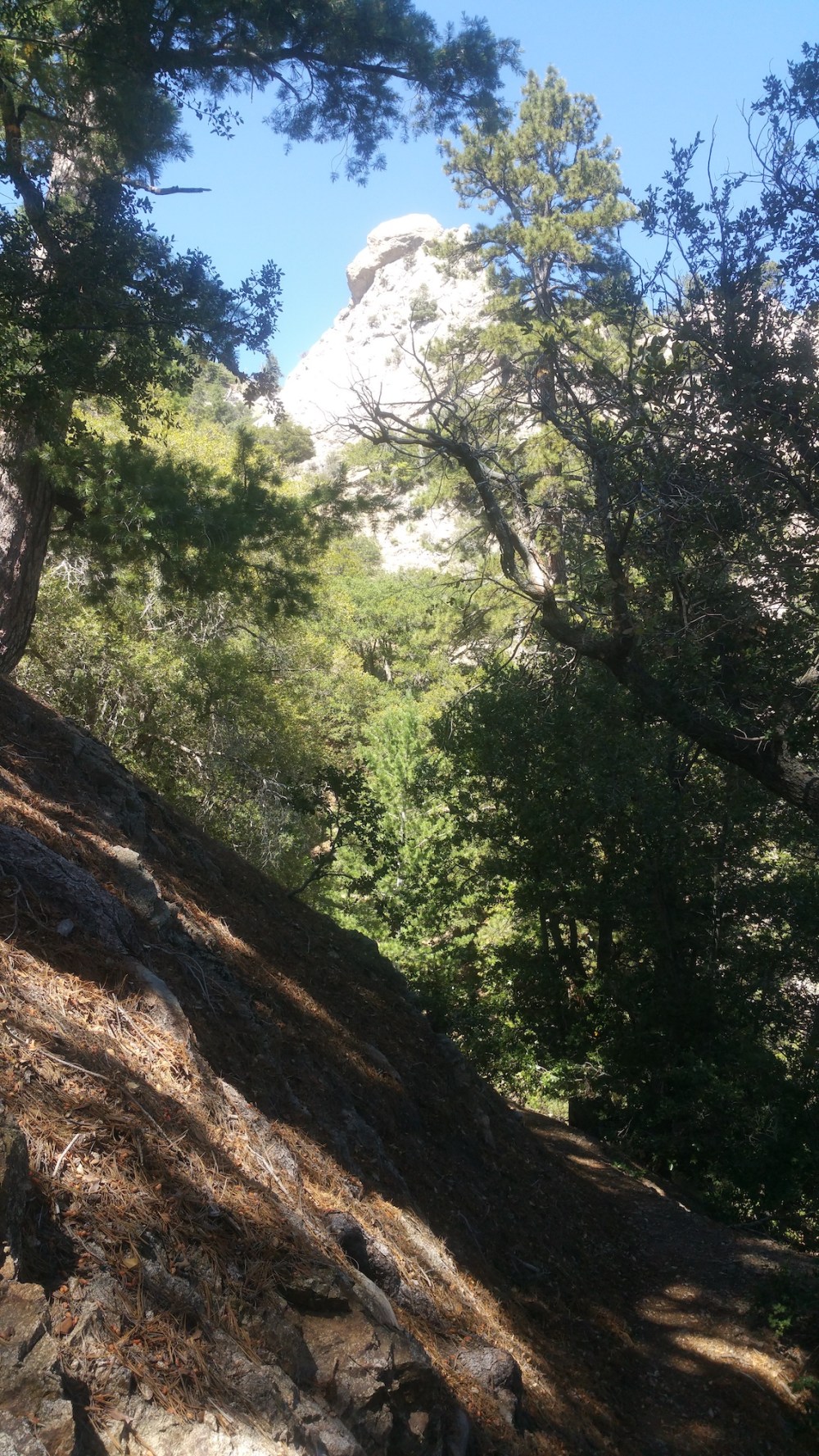 2019-08-11 14.53.45_resized