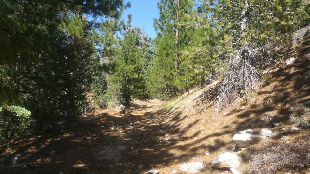 2019-08-11 15.31.07_resized