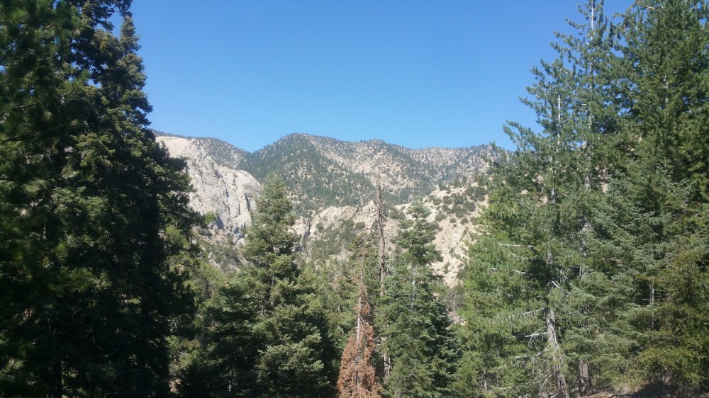 2019-08-11 15.32.56_resized