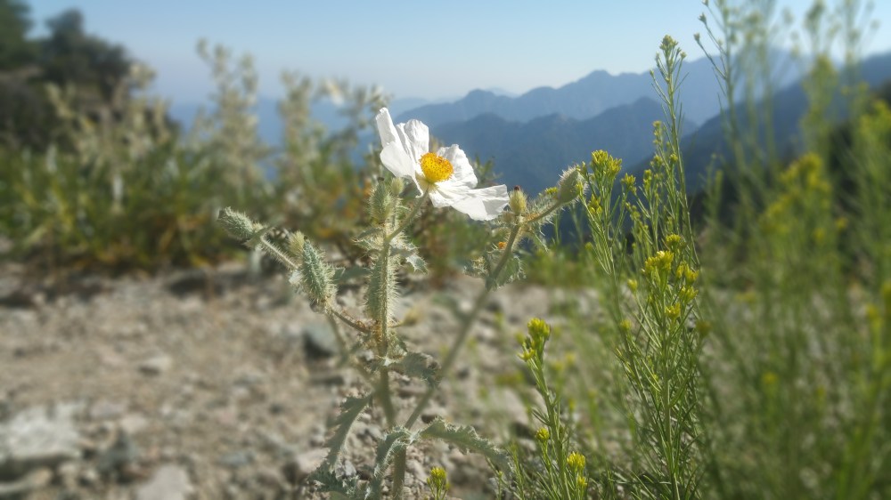 2019-08-11 16.22.39_resized