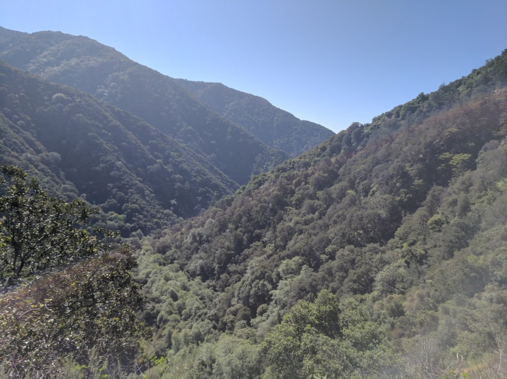 IMG_20170402_100658_resized