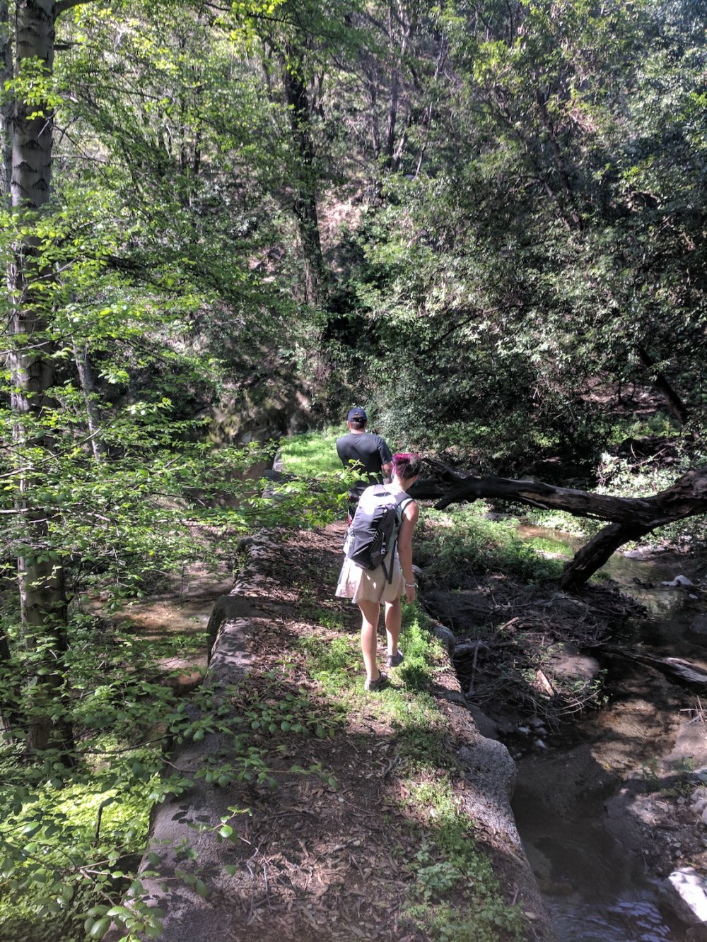 IMG_20170402_102805_resized