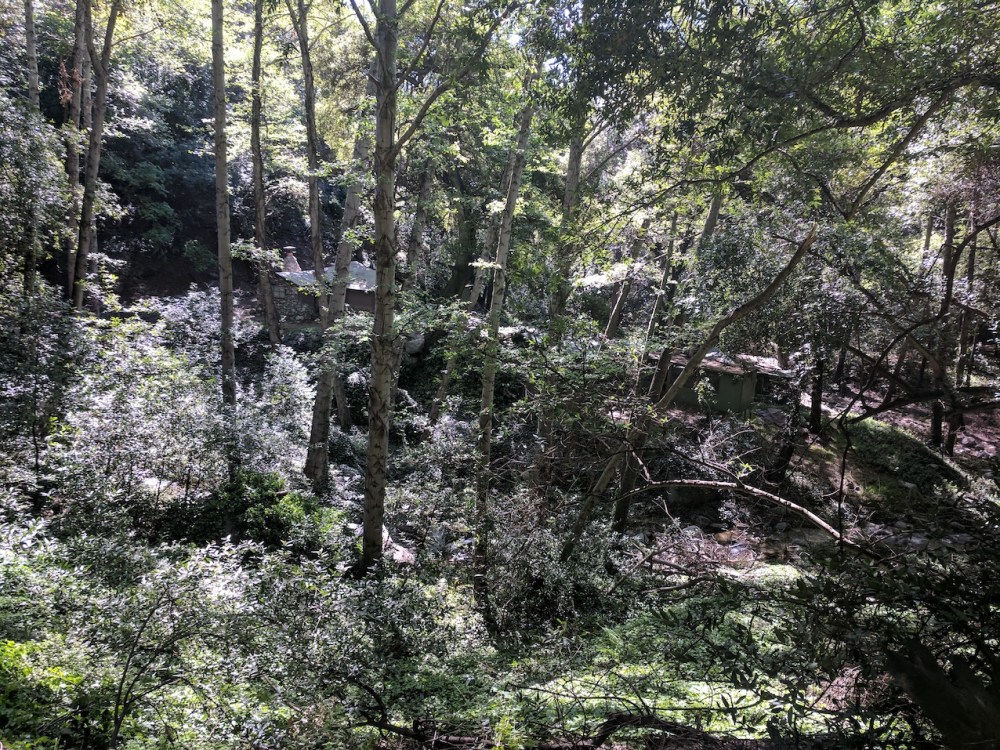 IMG_20170402_103210_resized