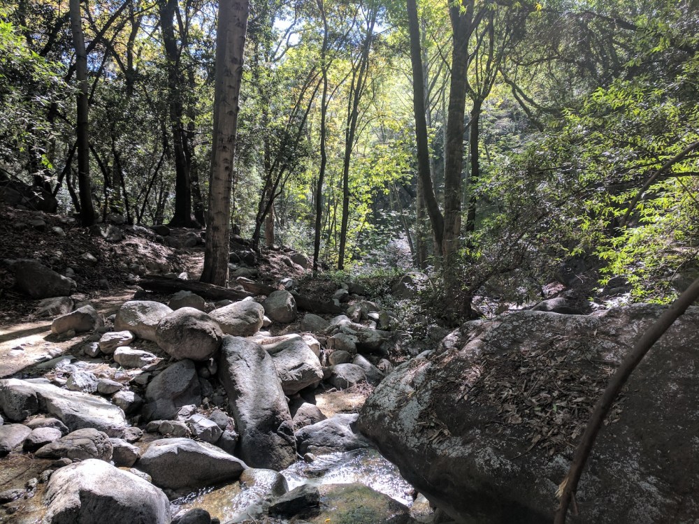 IMG_20170402_105129_resized