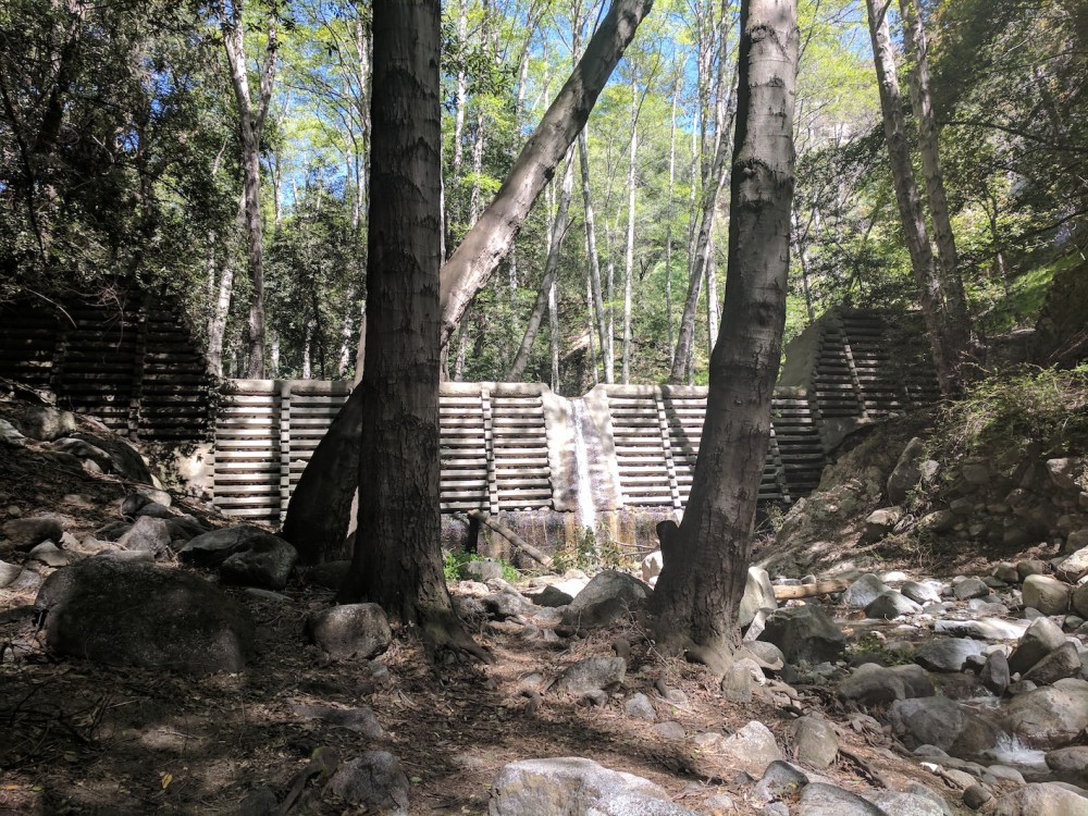 IMG_20170402_105158_resized