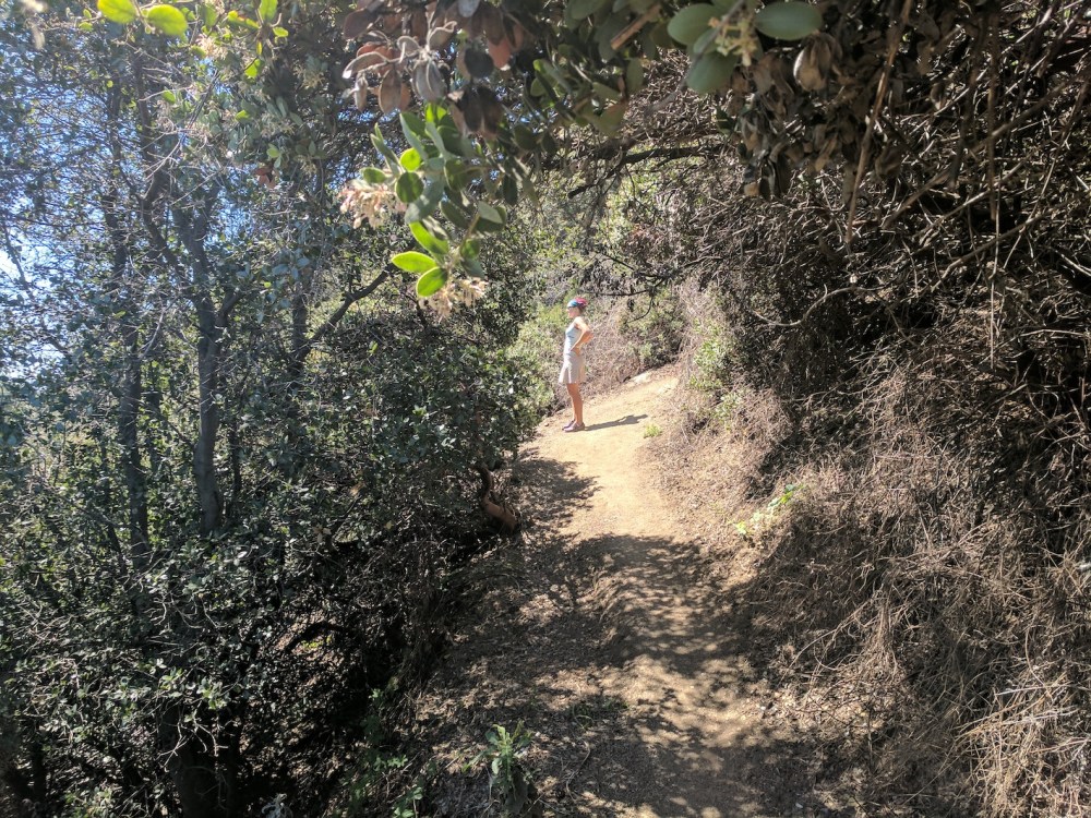 IMG_20170402_115216_resized