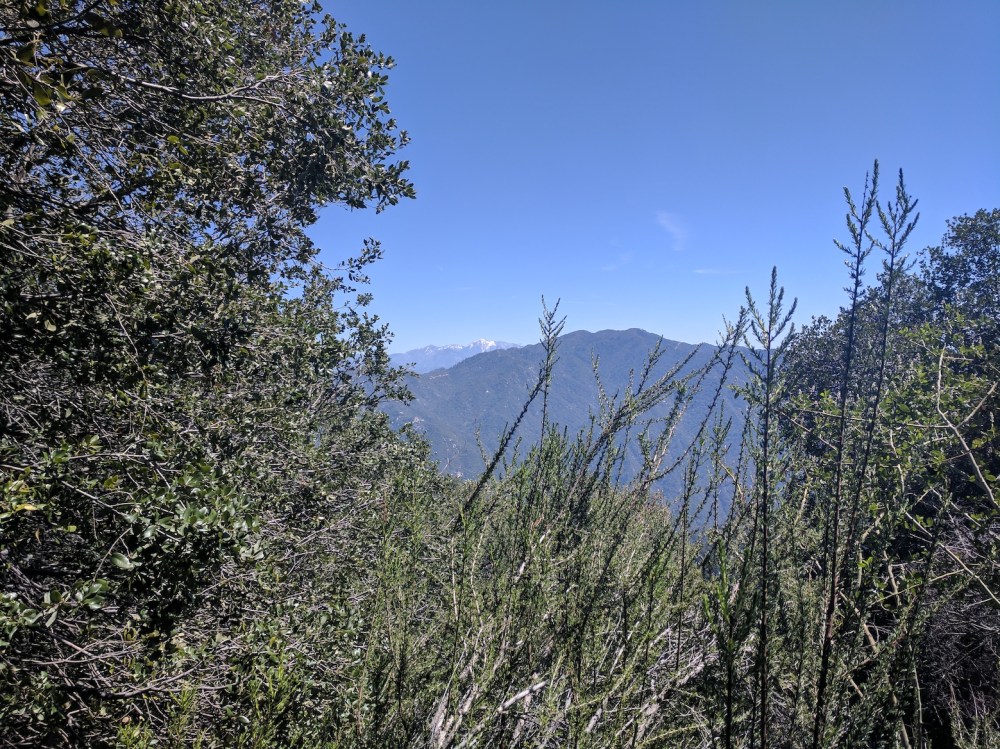 IMG_20170402_115938_resized