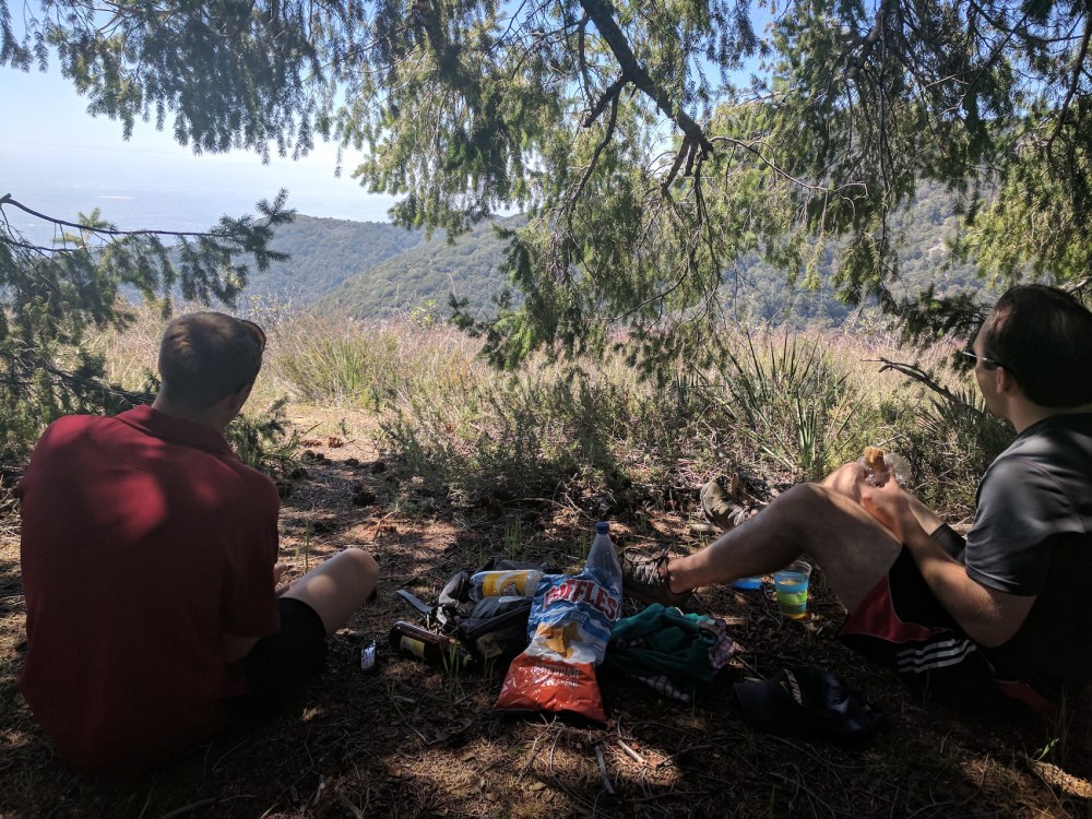 IMG_20170402_123042_resized