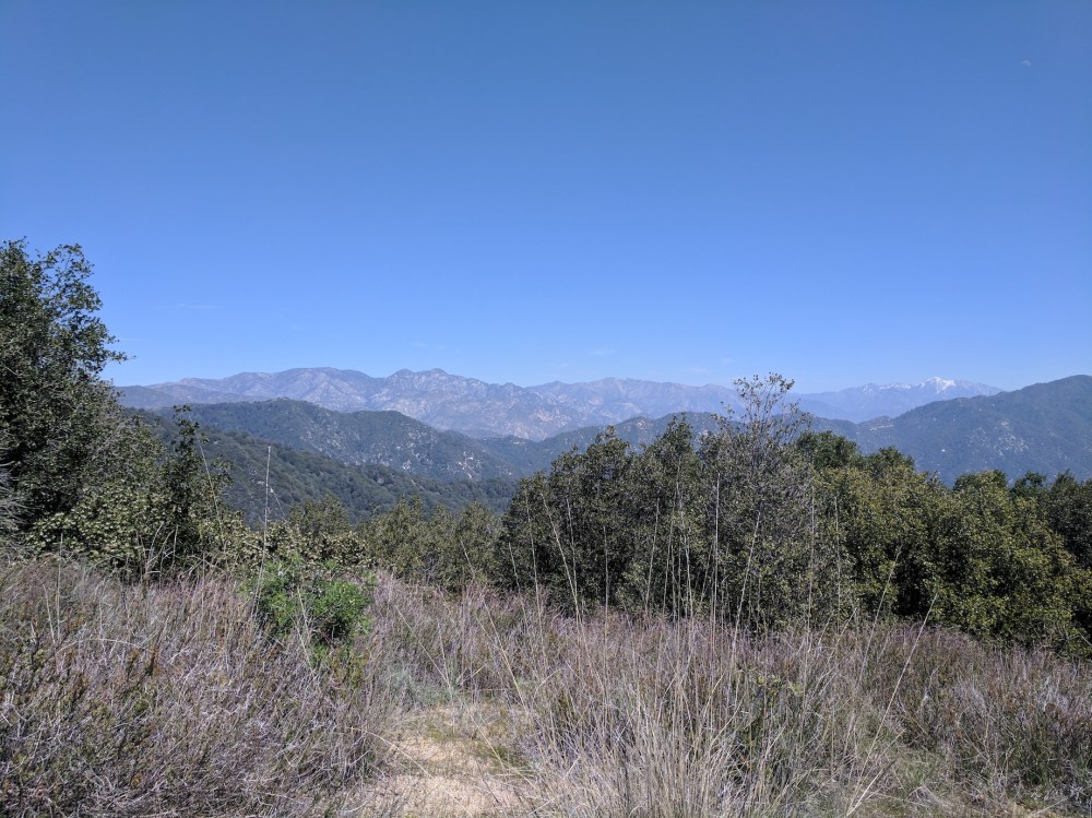 IMG_20170402_130325_resized