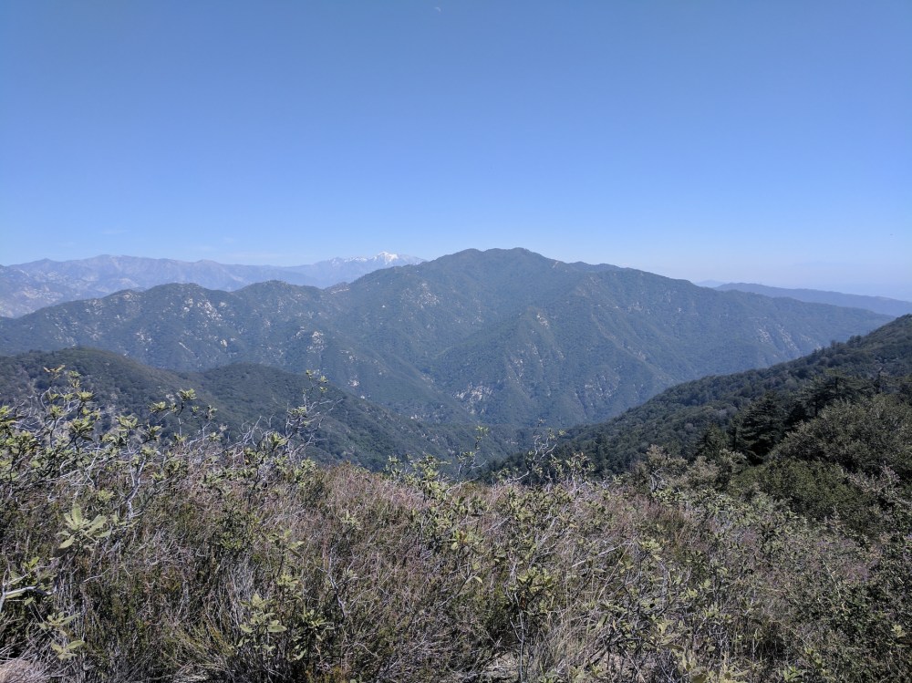 IMG_20170402_130515_resized