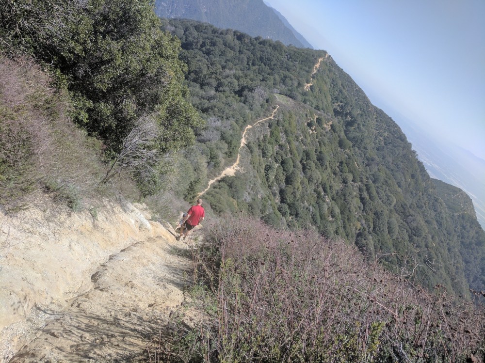 IMG_20170402_131347_resized