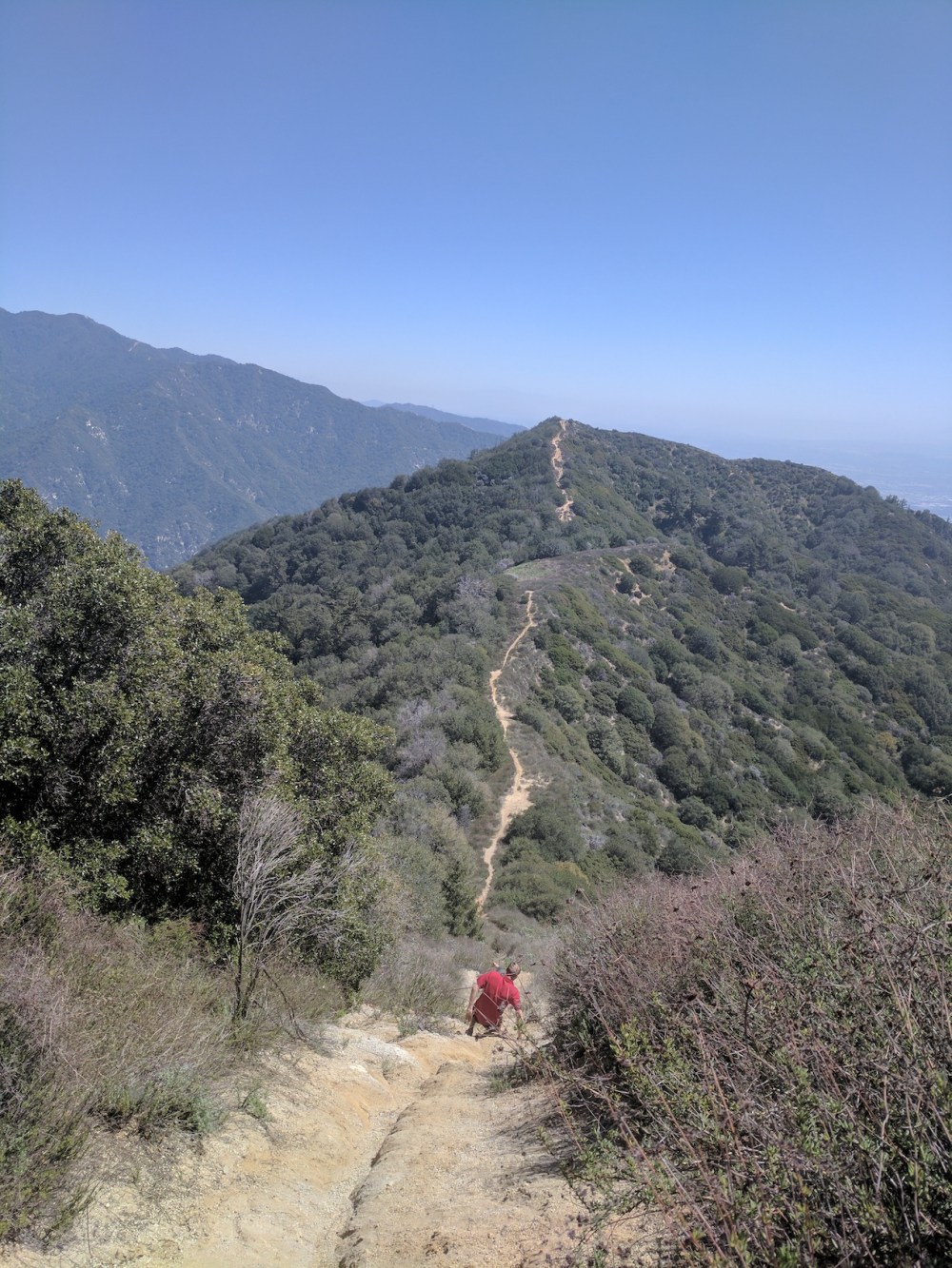 IMG_20170402_131357_resized