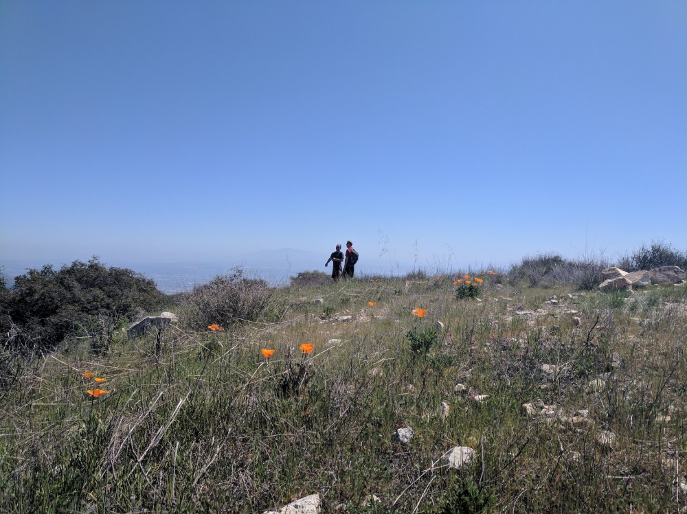 IMG_20170402_140319_resized