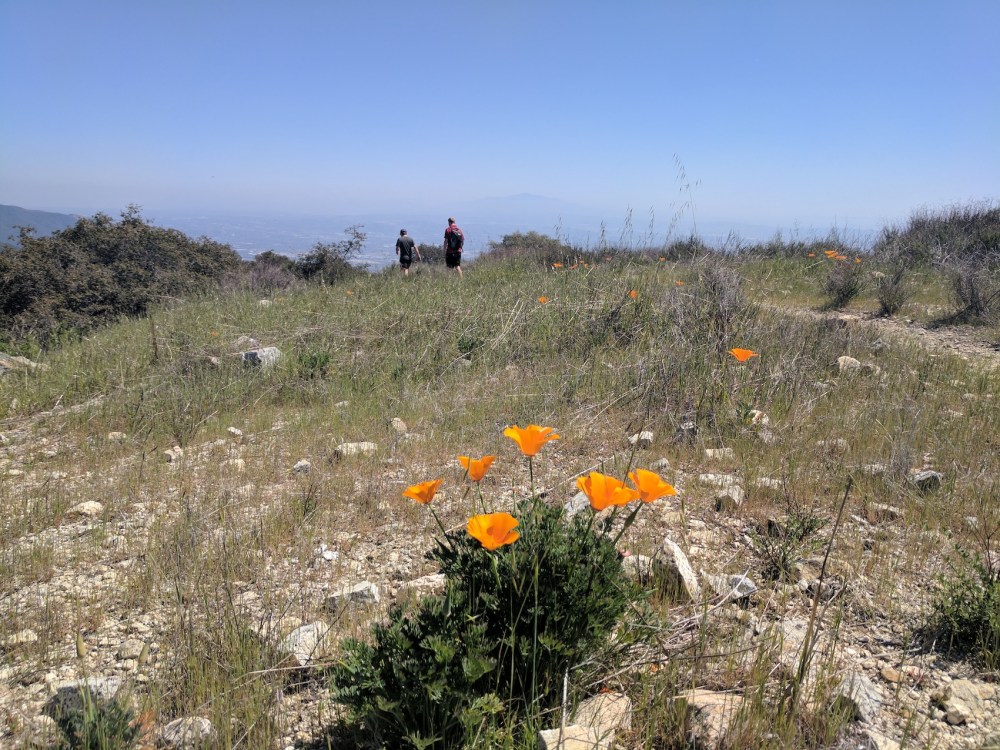 IMG_20170402_140330_resized