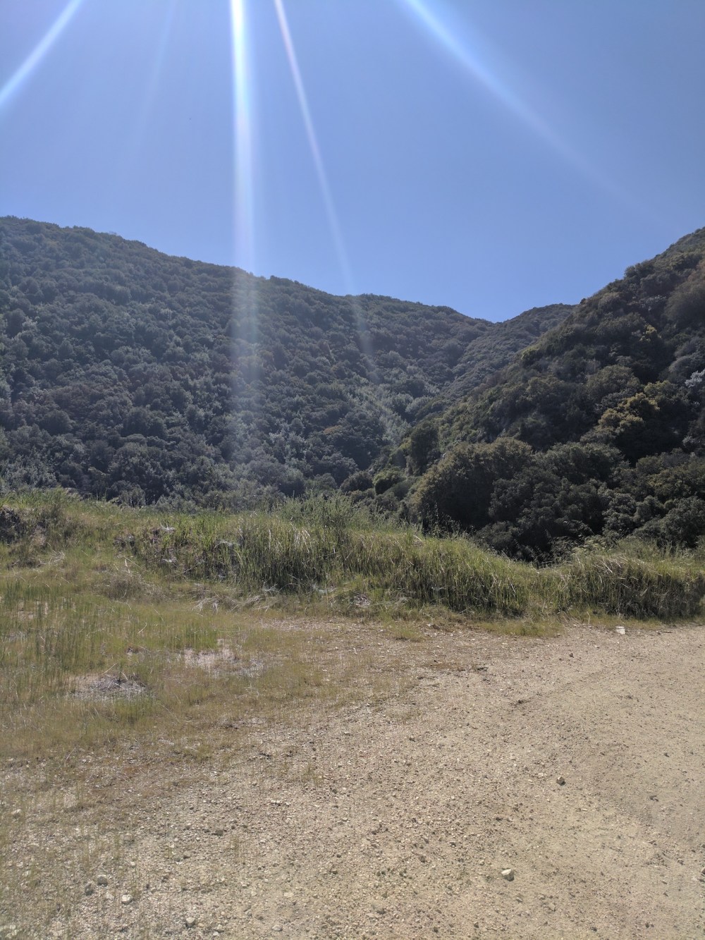 IMG_20170402_145702_resized