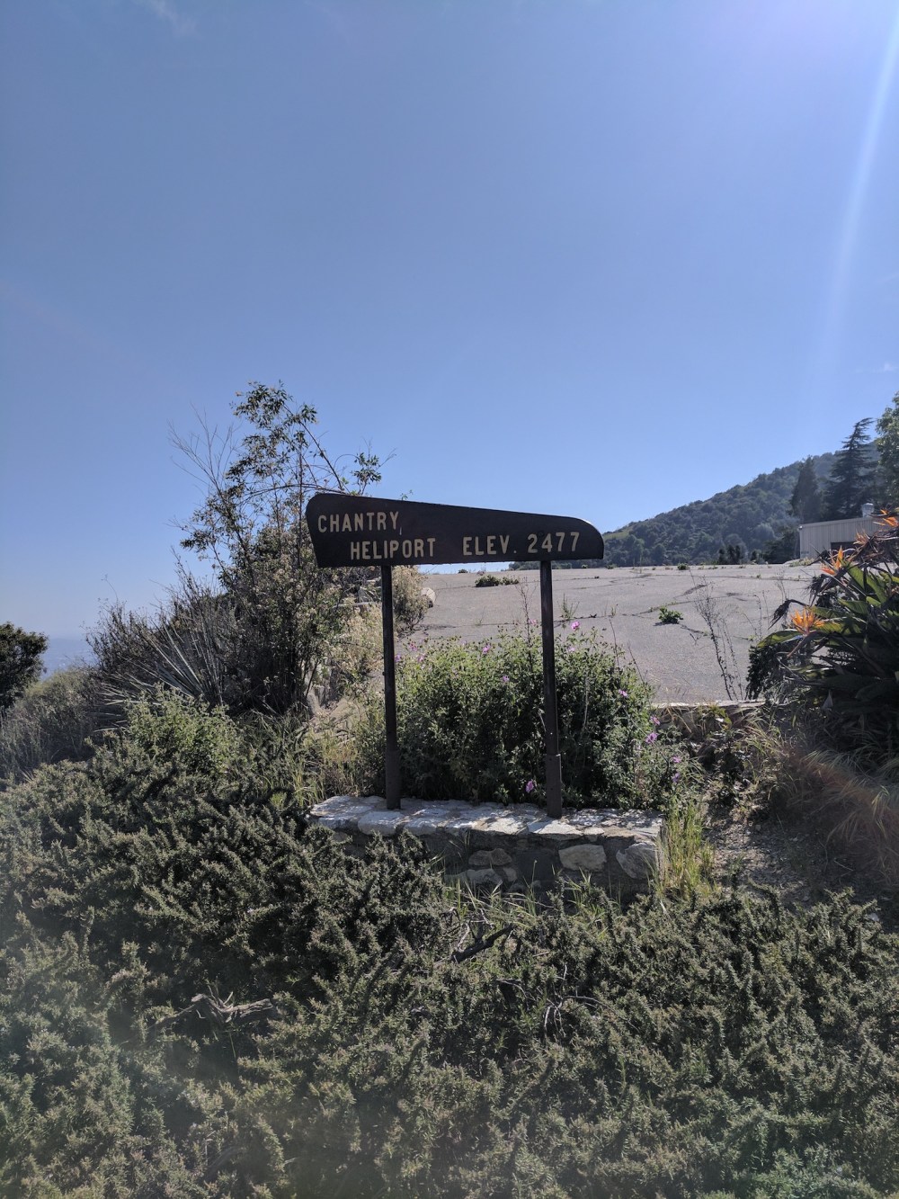 IMG_20170402_153618_resized