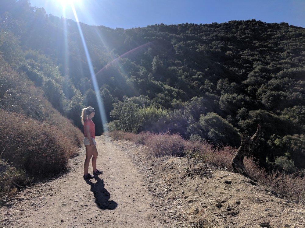 IMG_20181031_112522_resized