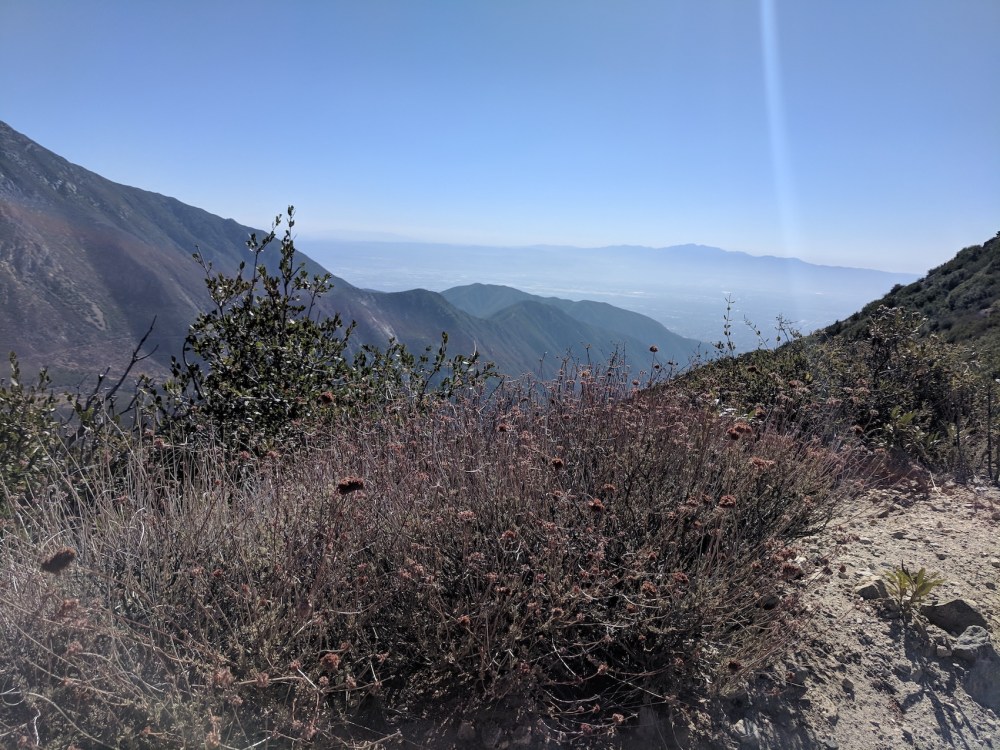 IMG_20181031_115346_resized