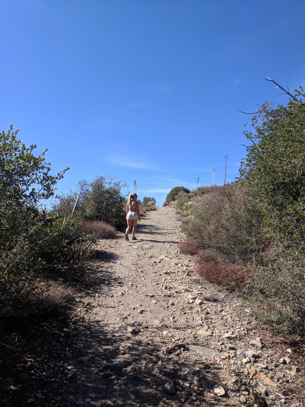 IMG_20181031_121945_resized