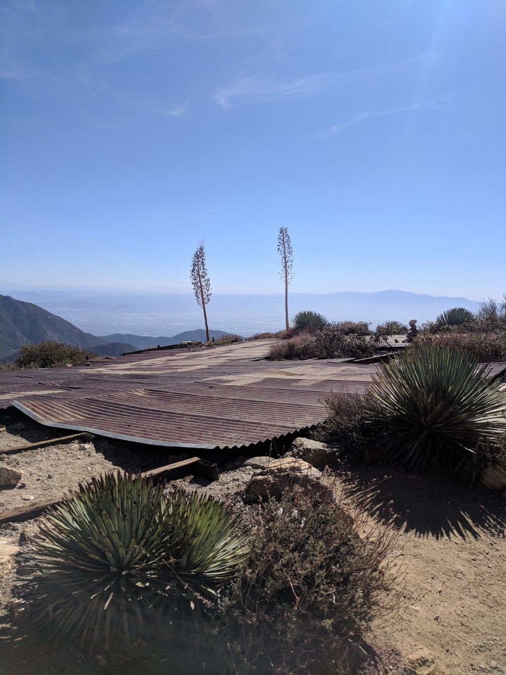 IMG_20181031_122226_resized