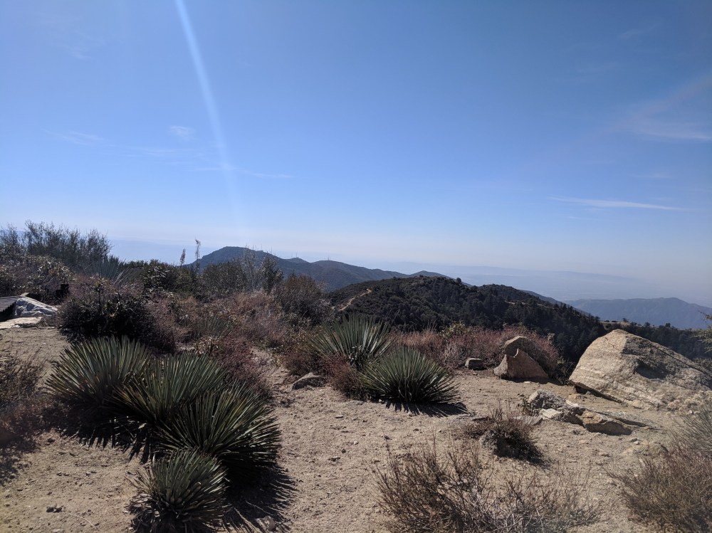 IMG_20181031_122234_resized