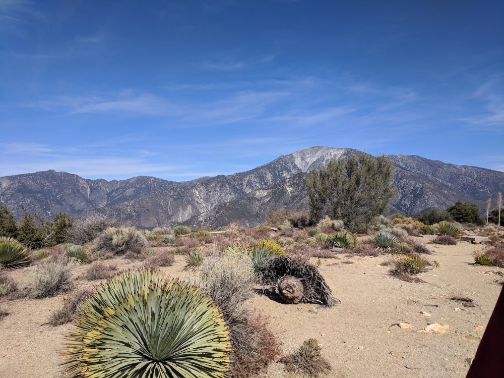 IMG_20181031_122238_resized