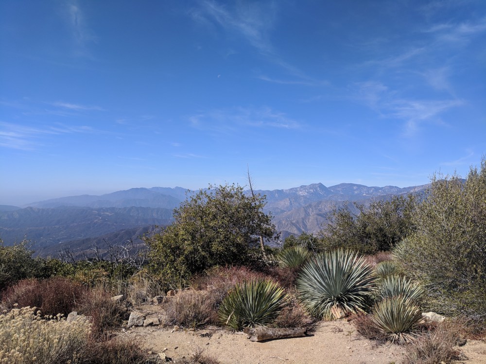 IMG_20181031_122241_resized