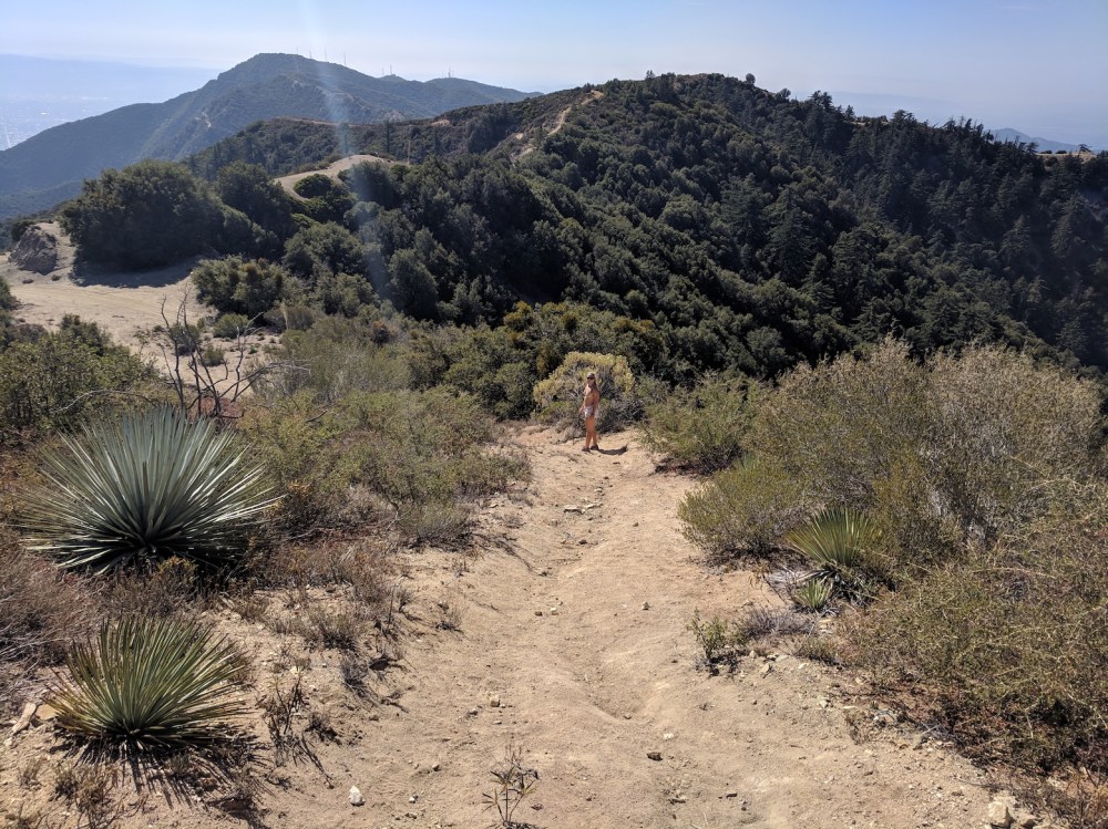 IMG_20181031_123931_resized