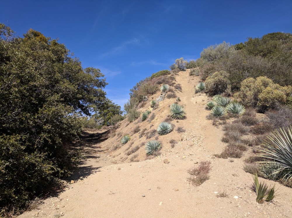 IMG_20181031_124057_resized