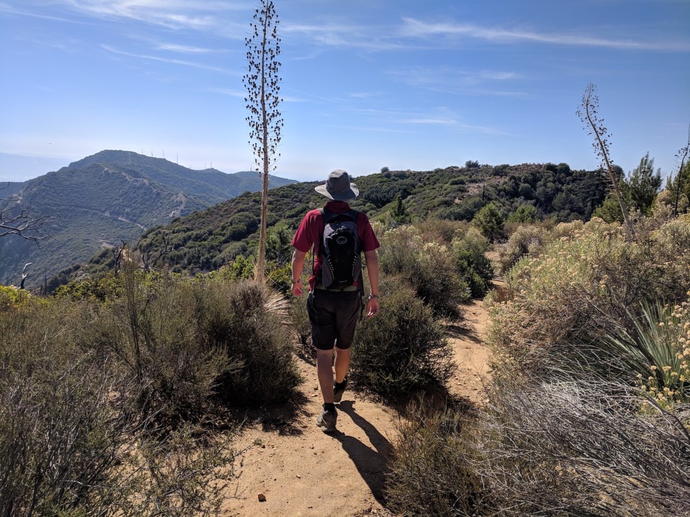 IMG_20181031_124731_resized