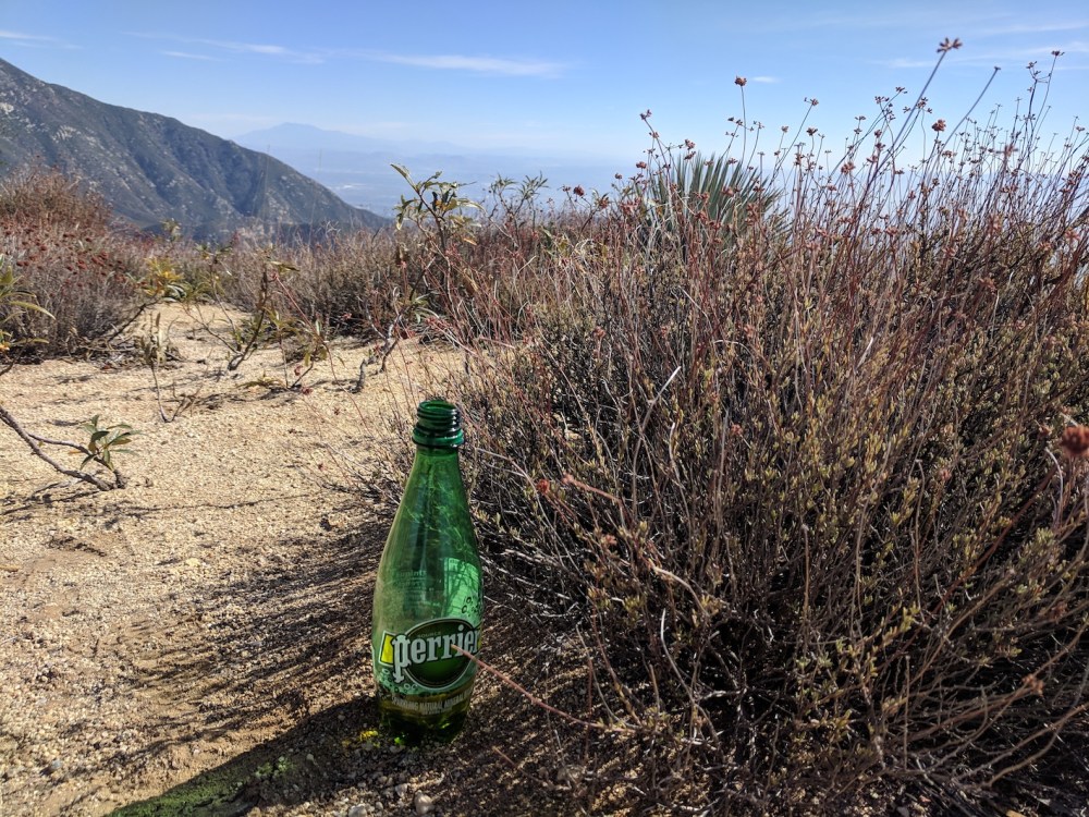 IMG_20181031_131519_resized