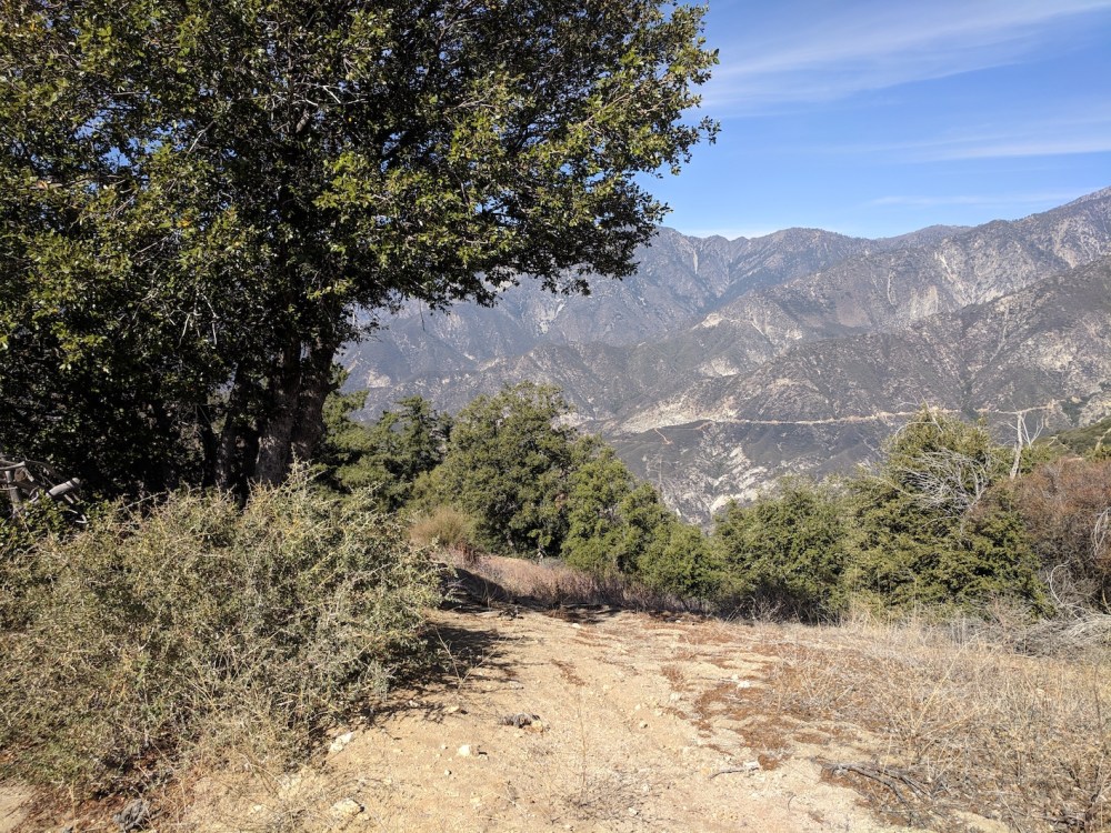 IMG_20181031_131844_resized