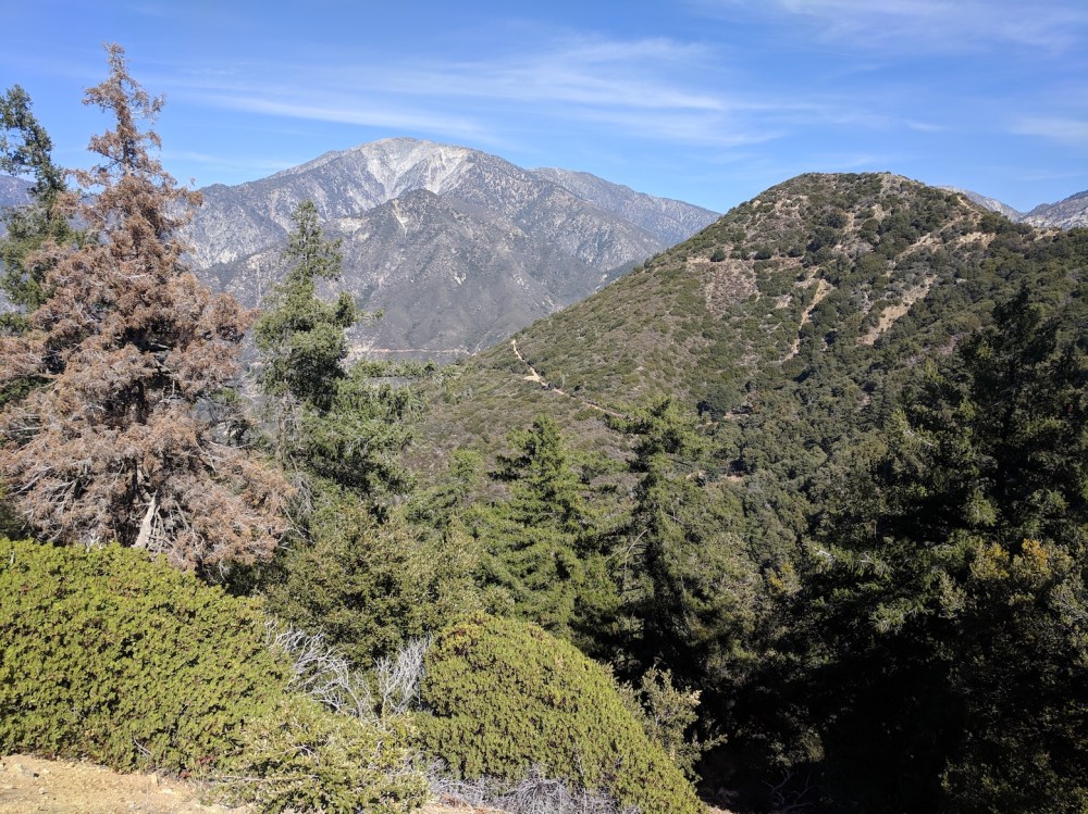 IMG_20181031_132259_resized