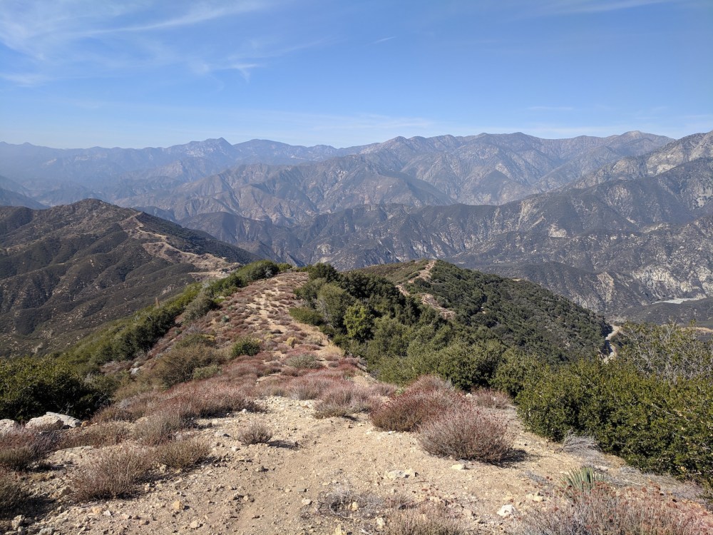 IMG_20181031_132525_resized