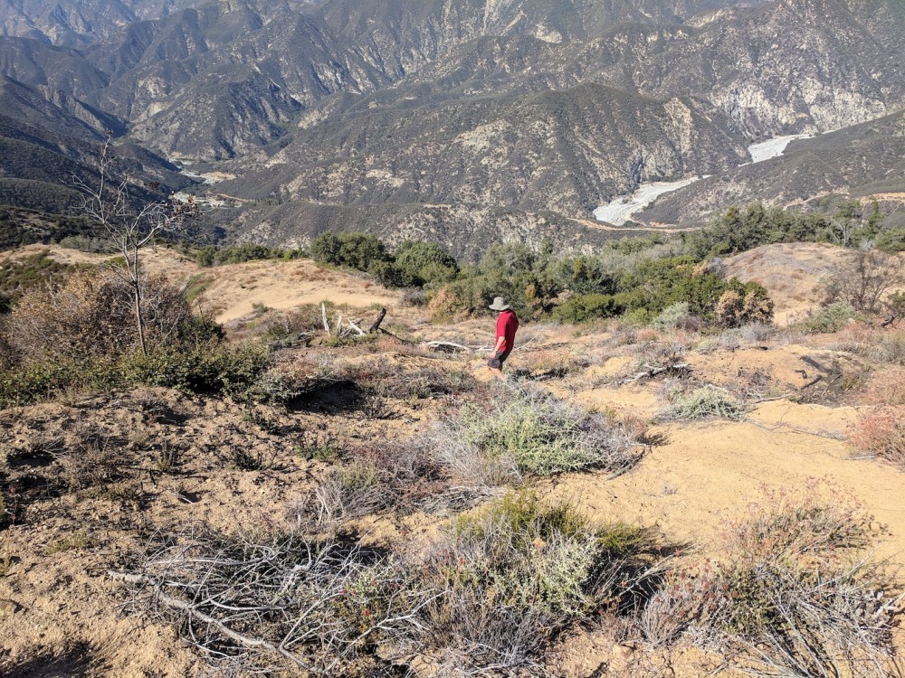 IMG_20181031_134500_resized