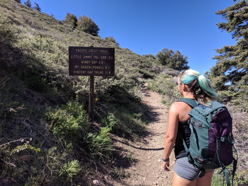 IMG_20190609_094235_resized