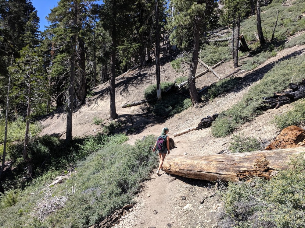 IMG_20190609_103005_resized