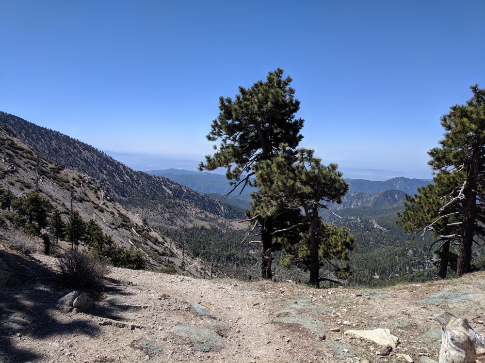 IMG_20190609_103504_resized